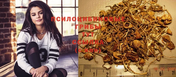 мяу мяу мука Пестово