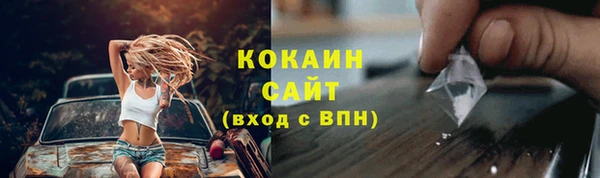 гашик Пересвет
