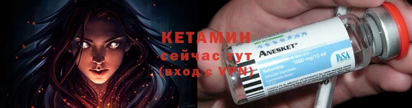 гашик Пересвет