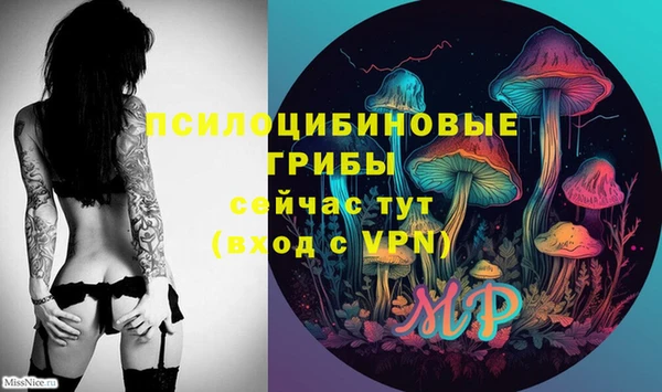 мяу мяу мука Пестово