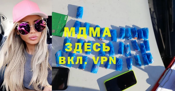 гашик Пересвет