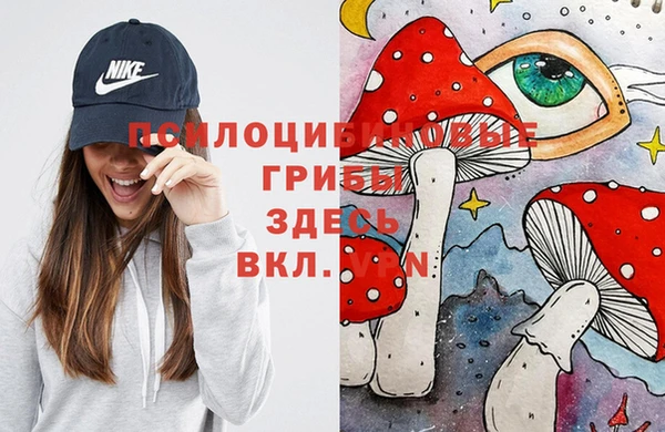 гашик Пересвет