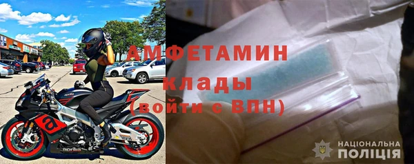 гашик Пересвет