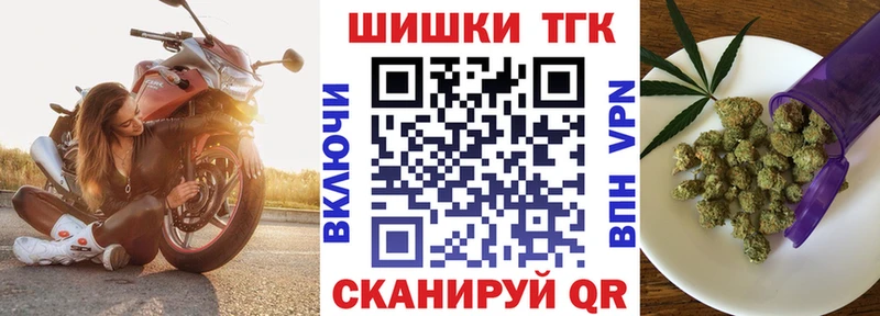 купить наркотики сайты  Суворов  Каннабис индика 